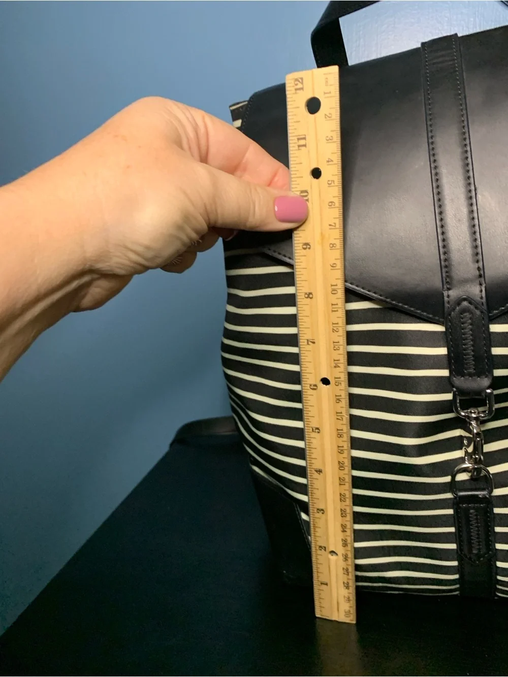 Stella & Dot Striped Black and Cream Backpack
